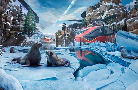 Unveiling the Arctic Wonders: See the Incredible Walruses of SeaWorld® Yas Island, Abu Dhabi