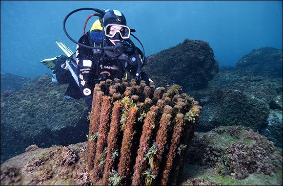 AD Ports Group and CMA CGM Join Forces with Ecocean to Preserve Marine Biodiversity at Khalifa Port