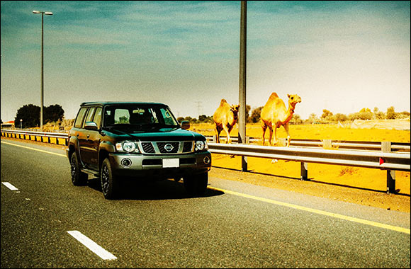 Al Masaood Automobiles Announces Launch of Special Nissan Patrol Super Safari 2024‘Al Ostoura' Edition