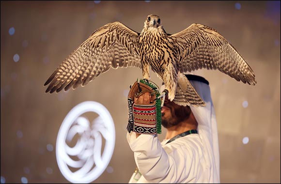 Abu Dhabi International Hunting and Equestrian Exhibition 2024 set to take its famous Falcon Auction online