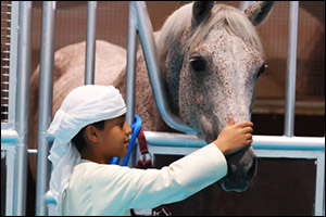 ADIHEX 2024: A celebration of equestrian excellence and cultural heritage